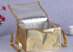 Wholesale custom 6 inch 8 inch 10 inch 12 inch Non-woven cake cooler bag ice bag