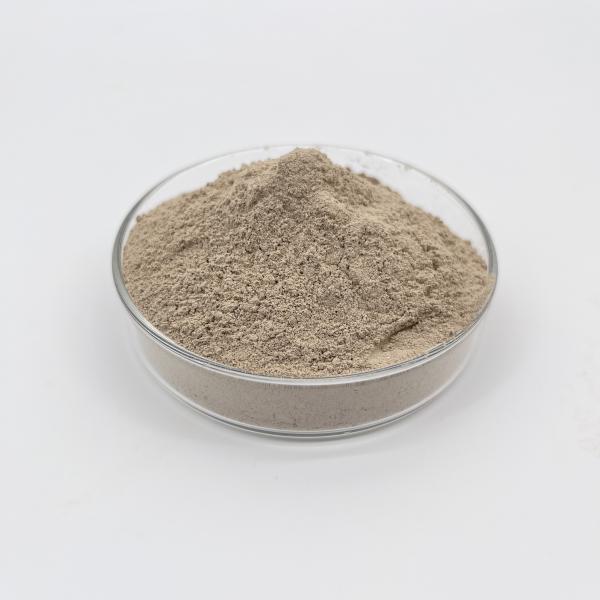 Ph Range 6.5-8.5 Waste Water Treatment Bacterial for Environmentally-Friendly
