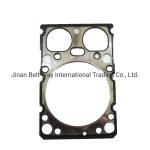 Truck Parts Engine Cylinder Head Gasket 612600040355 Lawnmower Payment Support