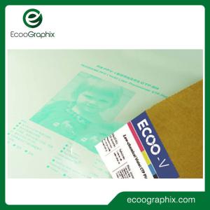 Wholesale Violet Printing Plate Photopolymer Negative Working For Newspaper Printing from china suppliers