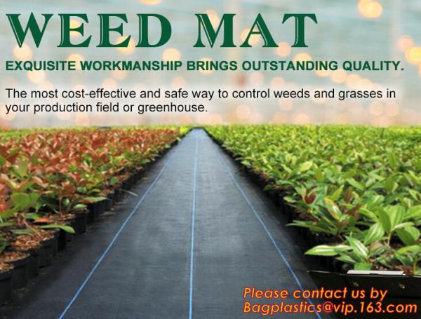 China Supplier Anti Weed Mat Weed Control Mat 100gsm PP Landscape Fabric Weed