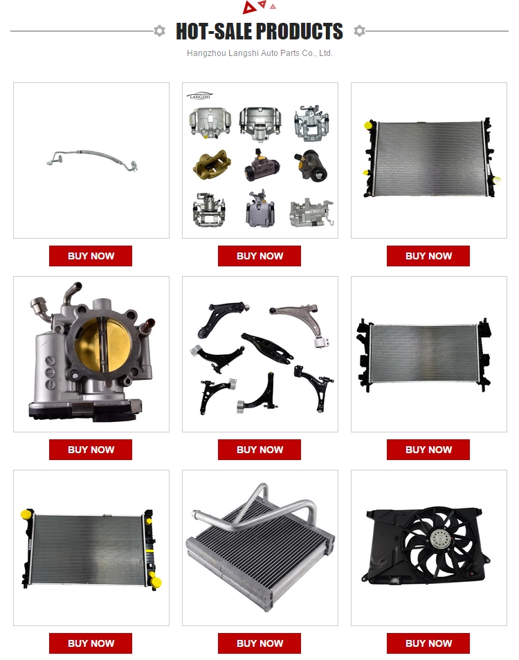 Auto Spare Parts Cooling System Radiator for BMW E39 1740695 1740698 1427153 1432819
