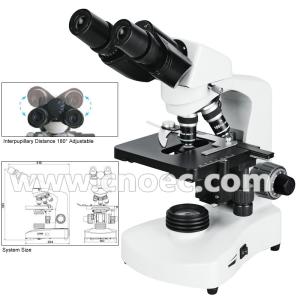 Wholesale Halogen Lamp Compound Optical Microscope For High School A12.1005 from china suppliers