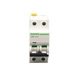 2P 63Amp Magnetic miniature circuit breaker C63 mcb manufacture