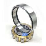 NF311E Cylindrical Roller Bearing NF311EM Excavator Bearing NF311 55x120x29