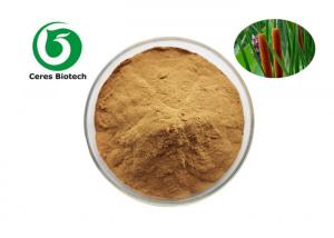 China Natural Sideritis Angustifolia Flower Extract Powder For Medical Health Care Products on sale