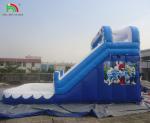 Commercial Water Slide Inflatable Kids Outdoor Double Lane Inflatable Water