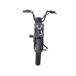 Retro Ebike Cruiser Dual Battery Enduro 7 Speed 48V 1000W Electric Fat Tire Bike