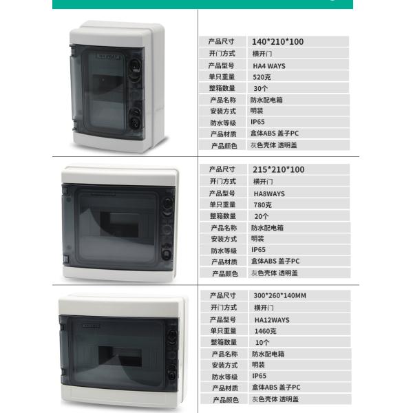 IEC60439-3 Surface Mounted 100A Outdoor Db Box