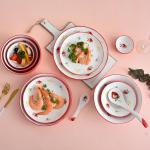 Savall 12 Piece Round Dinnerware Set FDA Ceramic Plates And Bowls
