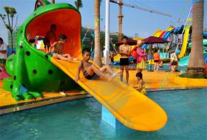 China Fiberglass Water Park Splash Pad Frog Small Swimming Pool Slide For Children on sale