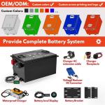 OEM ODM LiFePO4 Customized Golf Cart Lithium Battery Pack Lithium Ion Battery