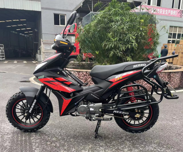125cc 49cc Gas Powered Motor Bikes 100cc Cub Motorcycle With Brushless Motor