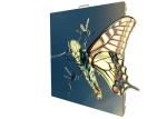 P5 High Definition Outdoor Rental LED Display with Good Performace
