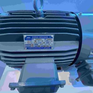 Wholesale Variable Speed Permanent Synchronous Magnet Motor With NEMA Premium from china suppliers