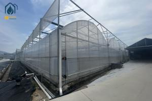 Wholesale Multi Span Greenhouse Solar Energy Systems For Sustainable Ecofriendly Farming from china suppliers