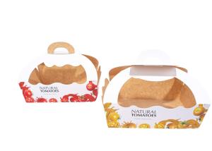 Wholesale Compostable Apple Packing Boxes , Recyclable Fruit And Vegetable Gift Box from china suppliers