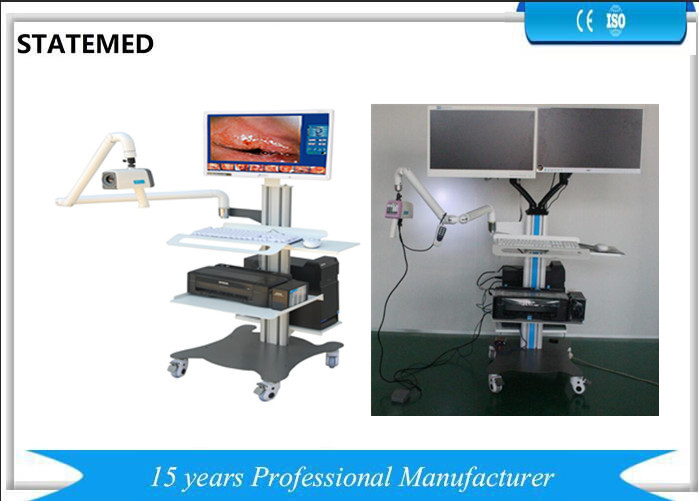 Colposcope Endoscopy Camera System Professional Standard Input Dynamic Video Image