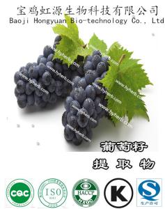 Wholesale 100% natural OPCgrape seed extract from china suppliers
