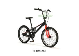 Wholesale 20 Inches Aluminum Alloy BMX Bike With RADIUS Brake And ATA 16T Freewheel from china suppliers