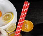 Natural Biodegradable Safe Disposable Drinking Paper Straws Eco Friendly Food