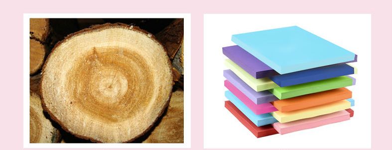 200gsm 220gsm 230gsm Coloured Cardboard Sheet For Clothes Tag Making 