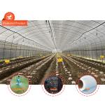Agriculture Chinese Organic Mushroom Shitake Green House Single-span Blackout