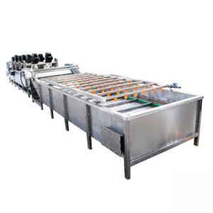 Wholesale Fresh Fruit Mango Apple Cleaning Machine 400kg Air Bubble Washing Machine from china suppliers