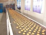 Automatic Conveyor System/Conveyor Board/Conveying