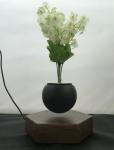 new hexagon wooden magnetic floating levitate air bonsai pot tree