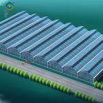 OEM Gothic High Tunnel Greenhouse For Planting Tomato Strawberry Lettuce