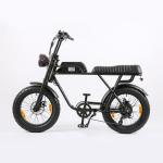 48V1000W Motor Full Suspension Shock Electric Retro Bike with Customised Beach
