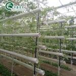 Film Cover Double Layer Hydroponics Grow Kit System for Greenhouse
