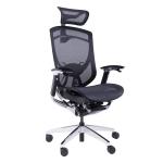 Black PA Ergo Curve All Mesh Office Chair Breathable Swivel Seating Chair