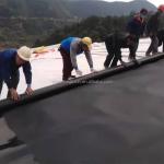 Small Pond Liner Geomembrane 0.75mm 1mm HDPE Water Storage Polythene Sheet and
