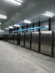 Sus304 60 Cu Ft Electric Cryo Chamber Individual Quick Freezing For Seafood Odm