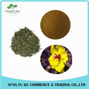Wholesale 100% Natural Mullein Leaf Extract Powder 10 : 1 from china suppliers