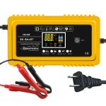 PC Fireproof Material 20A/12V 10A/24V Car Battery Charger Fully Smart Charger