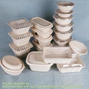 Wholesale Biodegradable Disposable Compostable Sugarcane Bagasse Food Container Paper Pulp Bowl 12oz 24oz 32oz Round Salad from china suppliers