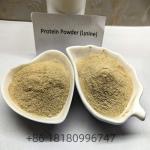 Probiotics Bacterial Poultry Protein Animal Feed Additives Add Flavor And