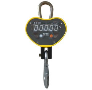 Crane Scale