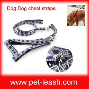 Wholesale Big dogs special chest straps + leash QT-0087 from china suppliers