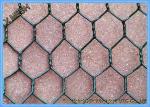 PVC Coated Heavy Duty Chicken Wire Stainless Steel Netting Mesh For Farms