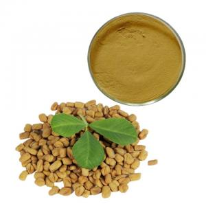 China Trigonelline Seed Saponins 10/1 Fenugreek Extract For Hair on sale