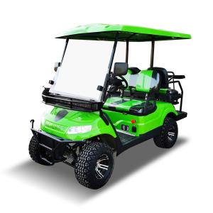 Wholesale AEV Termite 4 Seater Golf Cart Buggies 470kg 35mph from china suppliers