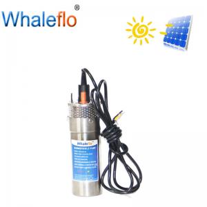 Wholesale Whaleflo Flow 8/12/20LPM 12V/24V DC Submersible Solar Energy Water Pump for Outdoor Garden Deep Well Car Wash from china suppliers