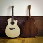 Custom GA Body SOLID WOOD Acoustic Guitar: SoliWood Masterpiece with Vintage