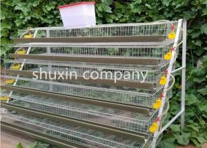 China A Type Galvanized Steel Automatic Quail Birds Cages , Quail Breeding Cages 6 Tiers on sale