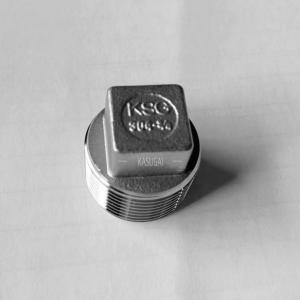 Wholesale Stainless Square Head Plug Threaded , ASTM A351 SS Tube Fittings from china suppliers