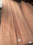 Sliced Natural Crown/Plain Cut Sapelli Veneer Sheet For Plywood